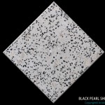Artistic Pavers colors - custom - black pearl
