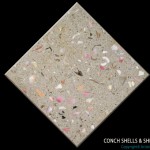 Artistic Pavers colors - custom - conch shell
